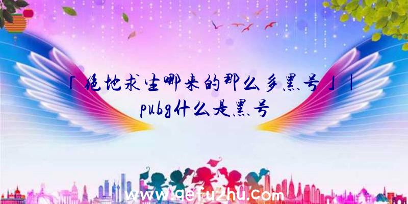 「绝地求生哪来的那么多黑号」|pubg什么是黑号